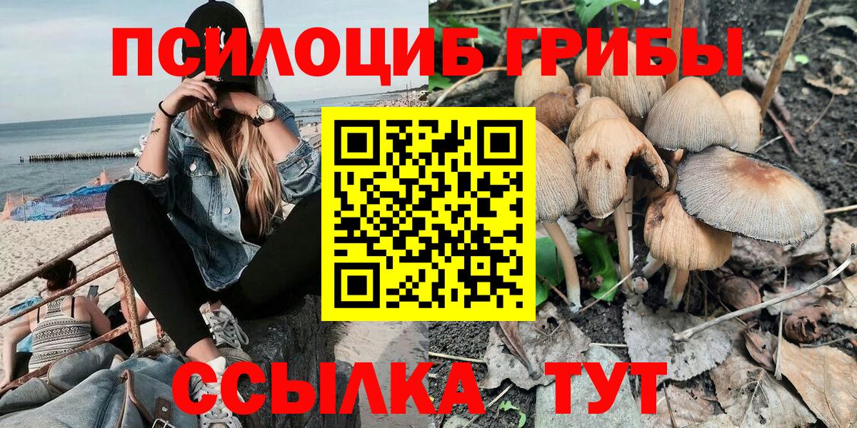 Галлюциногенные грибы Cubensis  Вход с VPN  Нурлат 