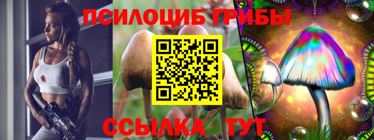Псилоцибиновые грибы ЛСД Нурлат
